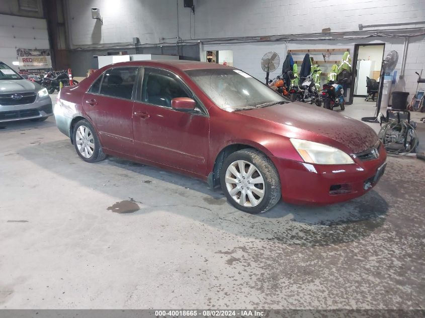 1HGCM66526A002392 | 2006 HONDA ACCORD