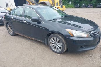 1HGCP3F80BA003406 | 2011 HONDA ACCORD