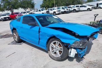 1ZVBP8AM0D5223052 | 2013 FORD MUSTANG