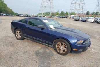 1ZVBP8AM9B5105255 | 2011 FORD MUSTANG