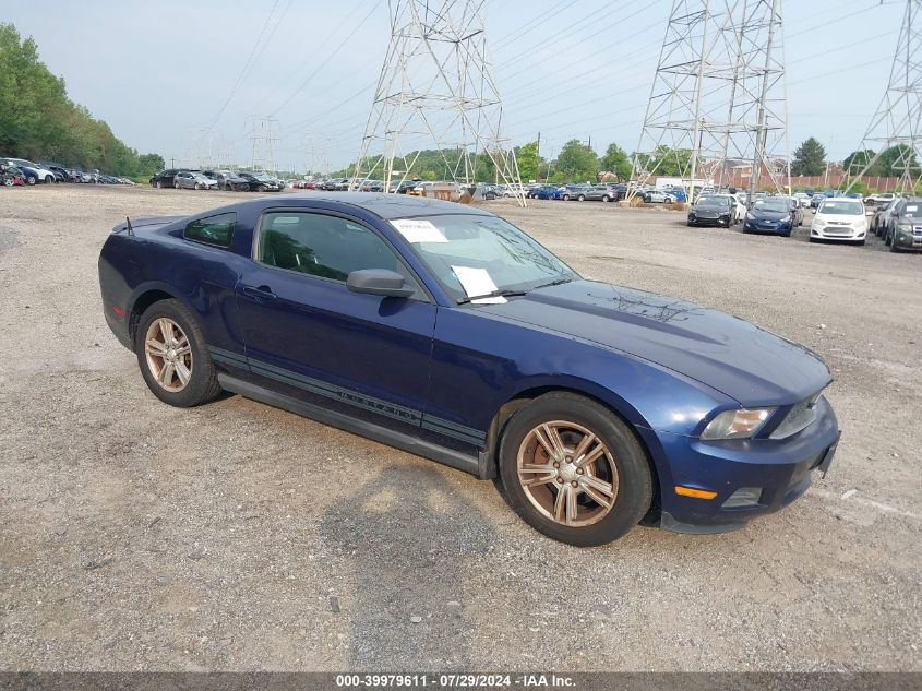 1ZVBP8AM9B5105255 | 2011 FORD MUSTANG