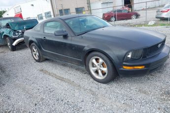 1ZVFT80N975224227 | 2007 FORD MUSTANG