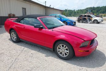 1ZVFT84N155208868 | 2005 FORD MUSTANG