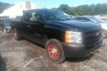 2GCEK19C991132548 | 2009 CHEVROLET SILVERADO 1500