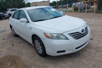 4T1BB46K79U098366 | 2009 TOYOTA CAMRY HYBRID