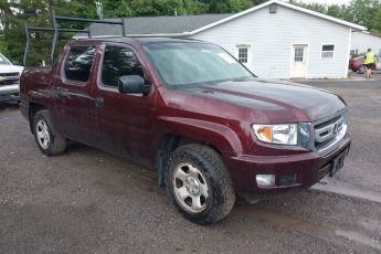 5FPYK1F26AB012353 | 2010 HONDA RIDGELINE