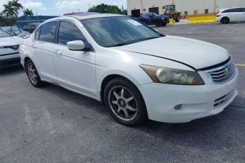 5KBCP3F80AB001371 | 2010 HONDA ACCORD