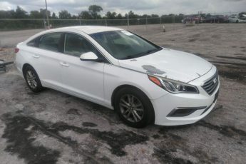 5NPE24AF8HH466655 | 2017 HYUNDAI SONATA