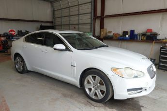 SAJWA0FB0BLR84804 | 2011 JAGUAR XF