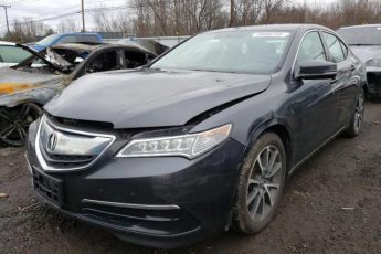 19UUB3F5XFA006229 | 2015 ACURA TLX TECH