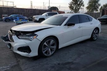 19UUB6F66MA001567 | 2021 ACURA TLX ADVANC