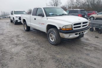 1B7GG22X8XS197627 | 1999 DODGE DAKOTA