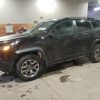 5FNYF6H00KB004658 | 2019 HONDA PILOT ELIT