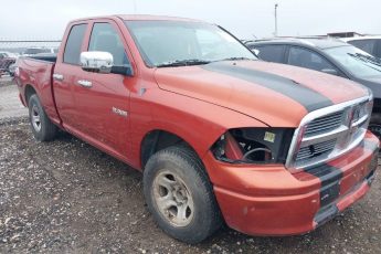 1D3HB18K59S798660 | 2009 DODGE RAM 1500