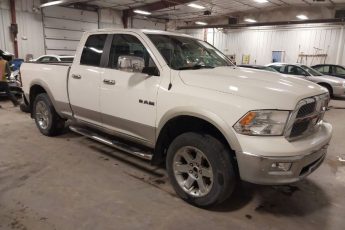 1D3HV18T49S731712 | 2009 DODGE RAM 1500