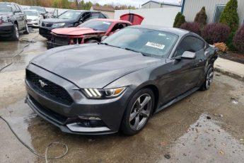 1FA6P8AM1F5407543 | 2015 FORD MUSTANG