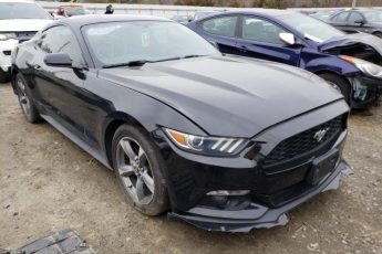 1FA6P8AM4F5405009 | 2015 FORD MUSTANG