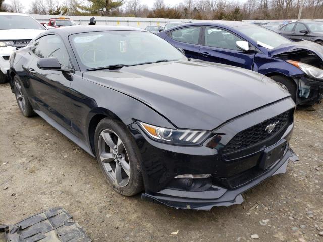 1FA6P8AM4F5405009 | 2015 FORD MUSTANG