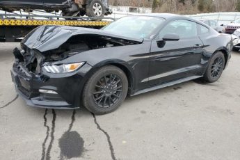 1FA6P8AM7H5262429 | 2017 FORD MUSTANG