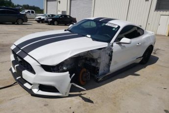 1FA6P8AM8H5262911 | 2017 FORD MUSTANG