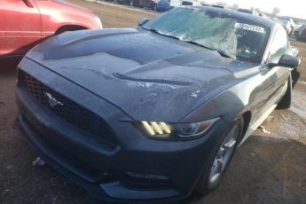 1FA6P8AM9H5353539 | 2017 FORD MUSTANG