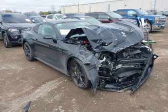 1FA6P8CF1K5201440 | 2019 FORD MUSTANG