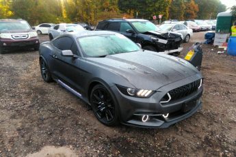 1FA6P8CF5H5312226 | 2017 FORD MUSTANG