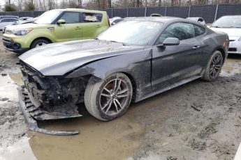 1FA6P8TH0H5262417 | 2017 FORD MUSTANG