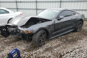 1FA6P8TH2K5102501 | 2019 FORD MUSTANG