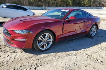 1FA6P8TH2K5197027 | 2019 FORD MUSTANG