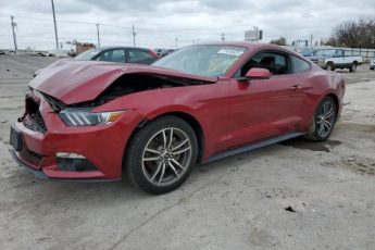 1FA6P8TH7H5358349 | 2017 FORD MUSTANG