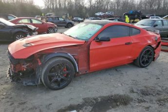 1FA6P8TH7K5174245 | 2019 FORD MUSTANG