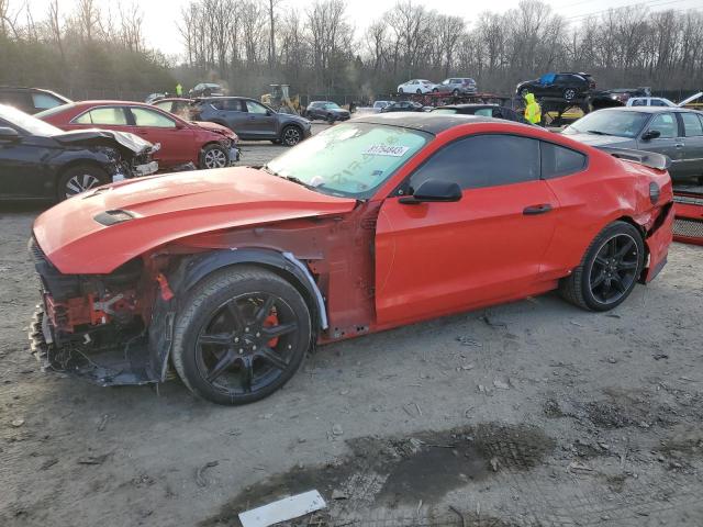 1FA6P8TH7K5174245 | 2019 FORD MUSTANG