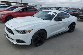 1FA6P8TH8H5316403 | 2017 FORD MUSTANG