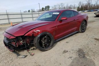 1FA6P8TH8K5184458 | 2019 FORD MUSTANG