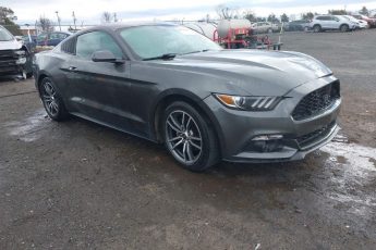 1FA6P8TH9H5309296 | 2017 FORD MUSTANG