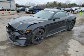 1FA6P8TH9K5203955 | 2019 FORD MUSTANG