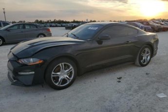 1FA6P8THXK5194053 | 2019 FORD MUSTANG