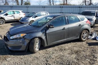 1FADP3K21GL389212 | 2016 FORD FOCUS SE