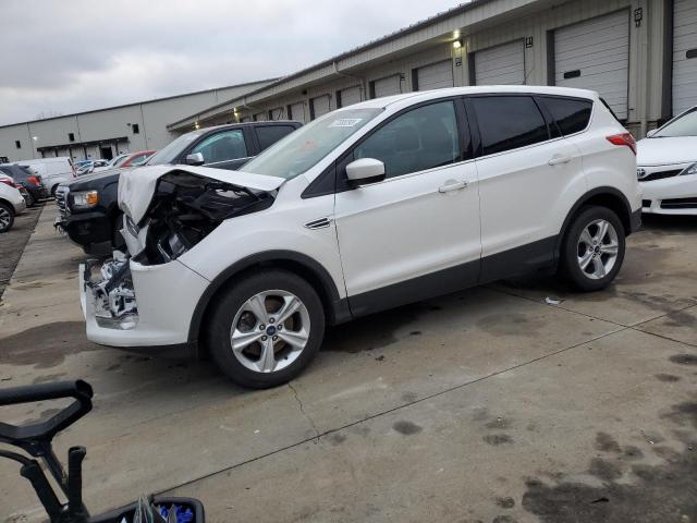 1FMCU0G96EUE24011 | 2014 FORD ESCAPE SE