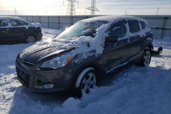 1FMCU0GX0FUB20883 | 2015 FORD ESCAPE SE