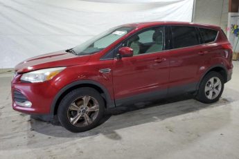 1FMCU0GX2EUB29406 | 2014 FORD ESCAPE SE