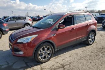 1FMCU0J93EUE22273 | 2014 FORD ESCAPE TIT