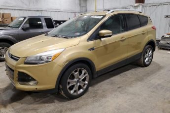 1FMCU0JX3EUD30725 | 2014 FORD ESCAPE TIT