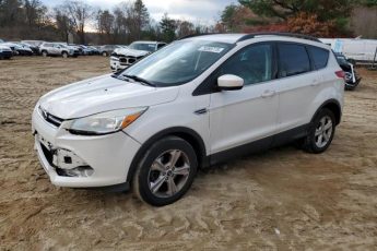 1FMCU9G92EUD62224 | 2014 FORD ESCAPE SE