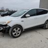 1FADP3K22EL441749 | 2014 FORD FOCUS SE