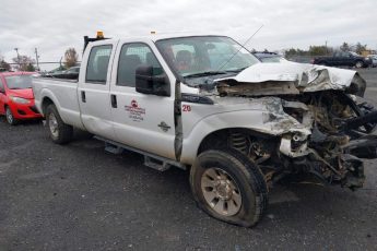 1FT7W2BT7EEB52321 | 2014 FORD F-250