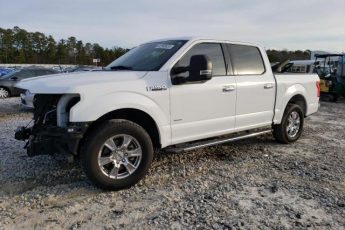 1FTEW1CG1FFC58570 | 2015 FORD F150 SUPER