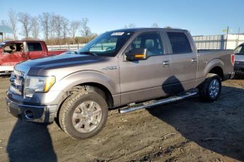 1FTEW1CM1EFC61036 | 2014 FORD F150 SUPER