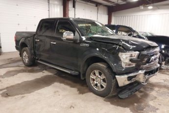 1FTEW1EF5GFB35795 | 2016 FORD F-150